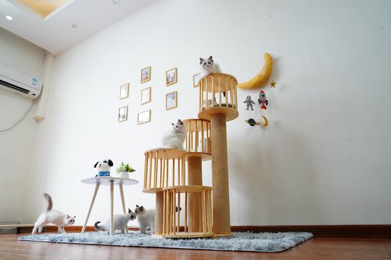 Dauerhaftes Haus Kitten Cat Climbing Tree Tower Condo mit dem Verkratzen von Posten