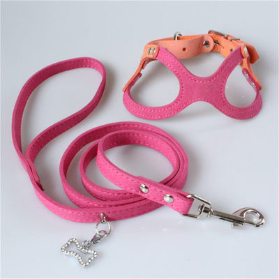 Hallupets weicher Mesh Padded Collar Leash Harness stellte Hundekasten und hintere Zugkraft ein