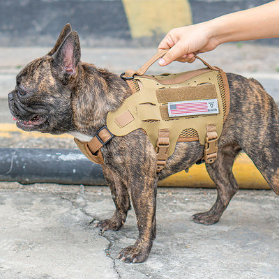Taktischer Haustier-Trainings-Brustgurt im Freien mit Hundegeschirr-Hundeleinen-Westen-Art-Hundeleine Hypalon materieller