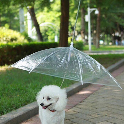 Kleine klare transparente Schoßhund-Regenschirme im Freien für die Hunde wasserdicht