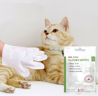 5 PCS Wegwerfnein Rinse Pet Cleaning Gloves für Gesichts-Körper-Ohr-Tatzen und Kolben