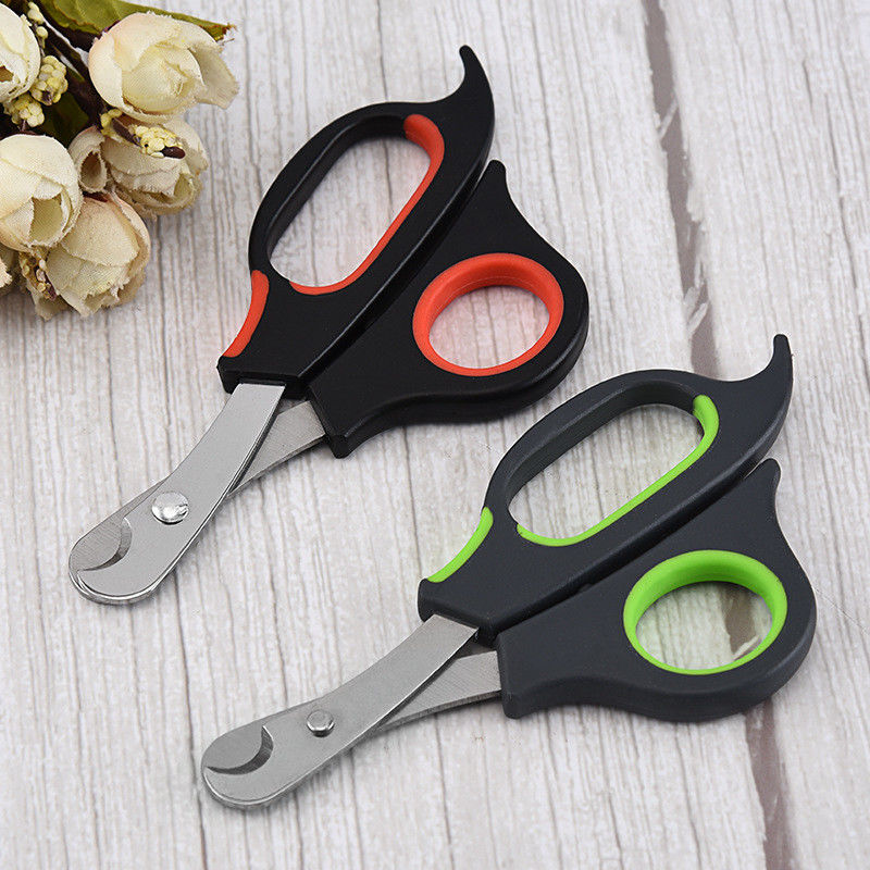Berufskatzen-Hund Scissor Clippers-Edelstahl-Haustier-Pflegenwerkzeuge