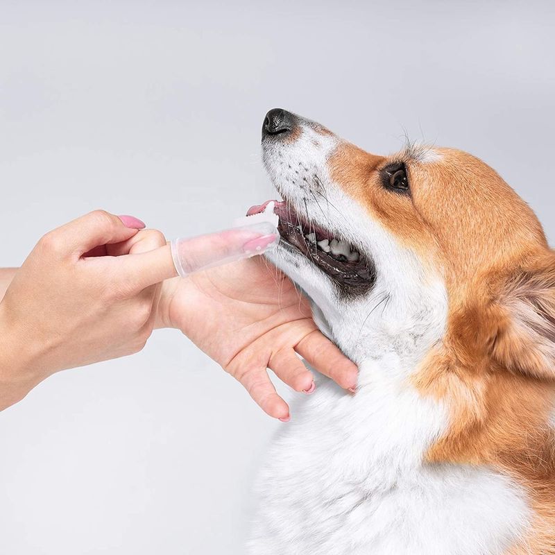 Borsten-Silikon-Hundereinigungswerkzeug-Zähne, die Hundezahnpflege-Finger-Haustier-Zahnbürste säubern