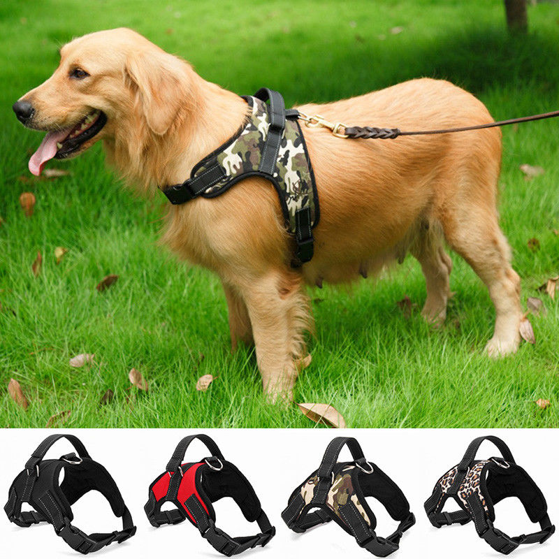 Geschirr-Westen-Schoßhund-Sattel-Brustgurt Oxfords Mesh Canvas Adjustable Padded Dog Breathable kein Zug-Haustier-Kragen