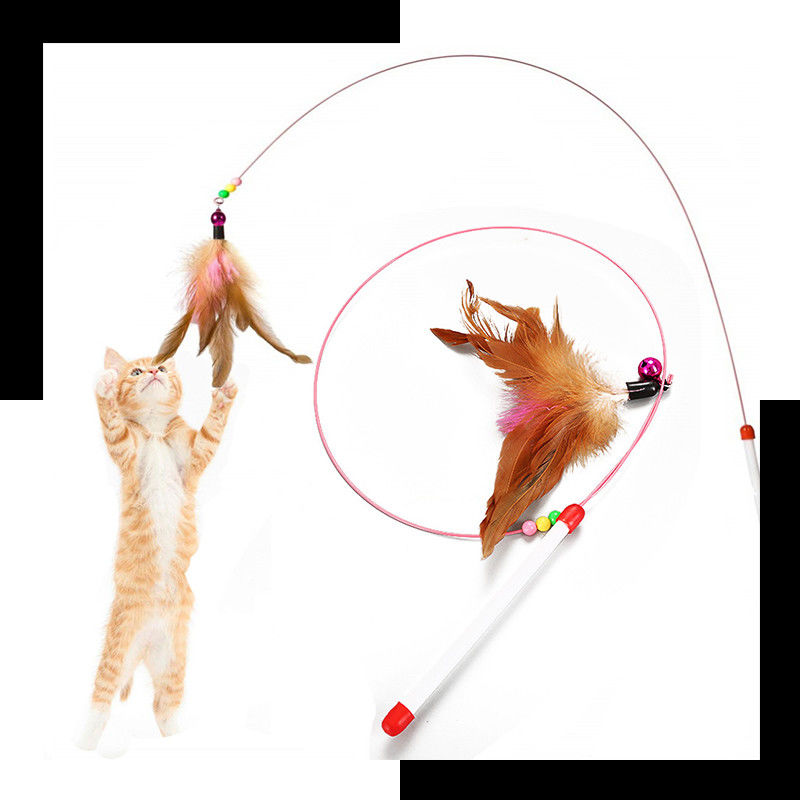 Stab harter Nuss Hallupets Cat Pet Toys Cat Feather