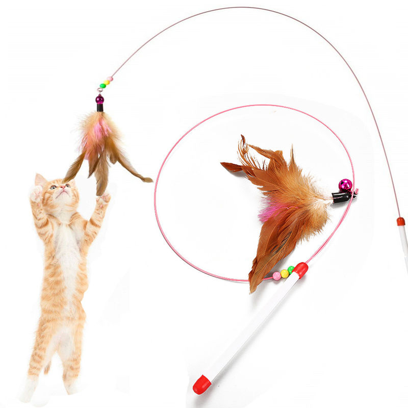 Stab harter Nuss Hallupets Cat Pet Toys Cat Feather