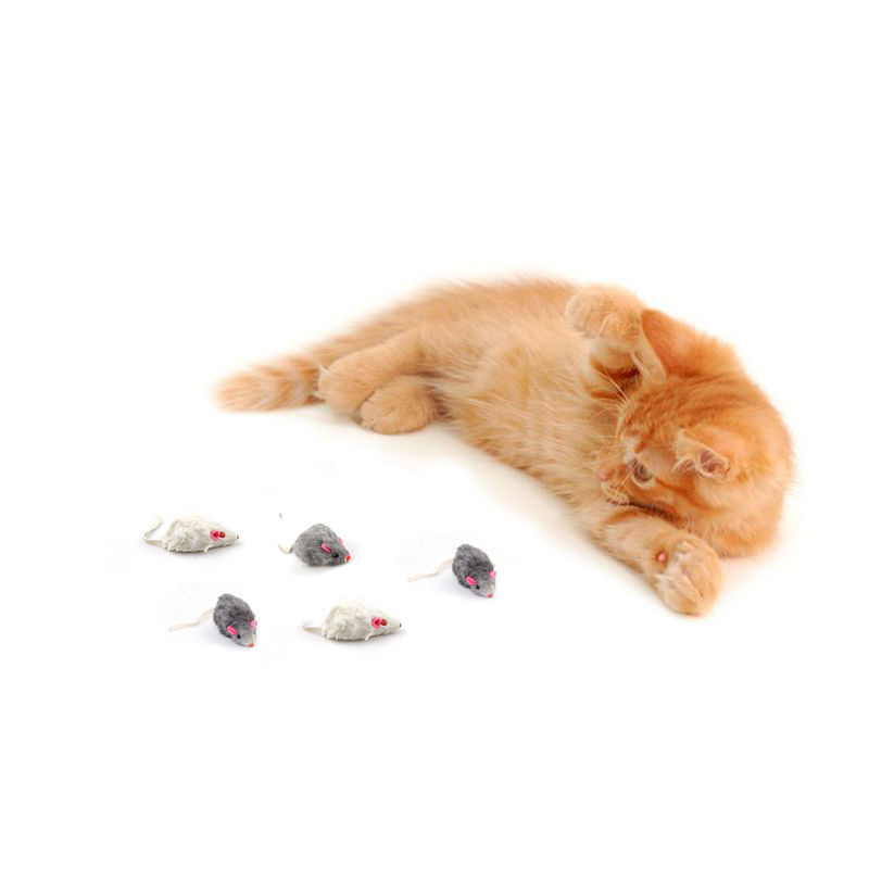 Einzigartiges Geschenk Bicolourable Mini Mouse Cat Toy Set Halloweens mit Ton
