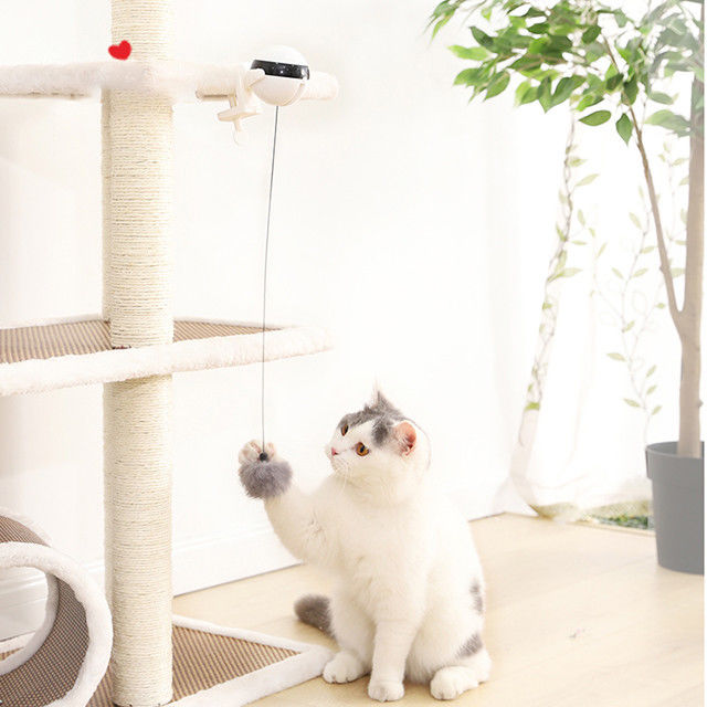 Wechselwirkender elektronischer Selbstaufzug-Ball Cat Pet Toys Funny Stick Cat Teaser Toy