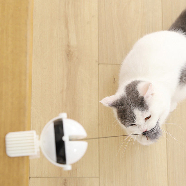 Wechselwirkender elektronischer Selbstaufzug-Ball Cat Pet Toys Funny Stick Cat Teaser Toy