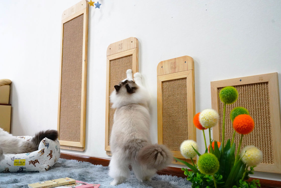 Dauerhafter Sisal an der Wand befestigte Cat Scratcher Post Place Floor 40*30cm 30*76cm 40*120cm