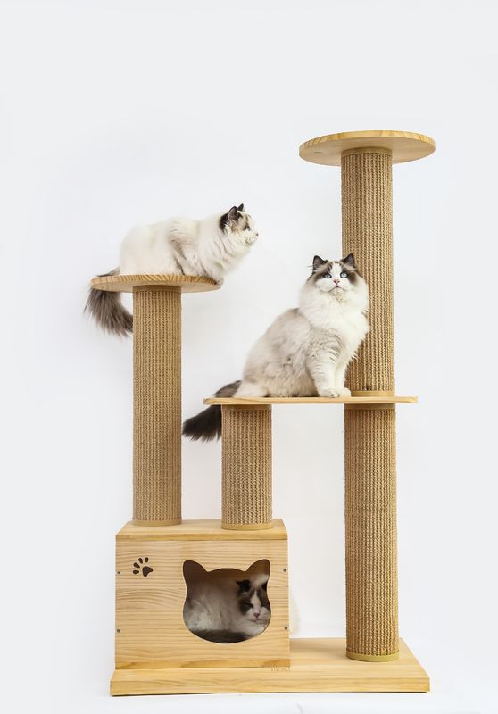 Treppen-Haustier-Aufstiegs-Luxusbett Soems u. ODM hölzernes Cat Climbing Tree Furniture Safety