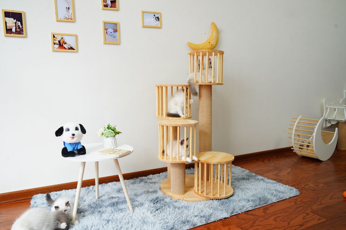 Dauerhaftes Haus Kitten Cat Climbing Tree Tower Condo mit dem Verkratzen von Posten