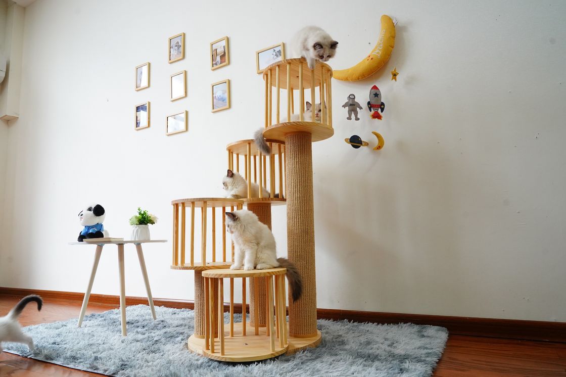 Dauerhaftes Haus Kitten Cat Climbing Tree Tower Condo mit dem Verkratzen von Posten