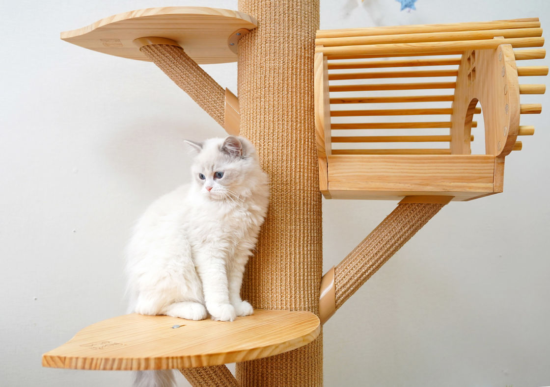 123cm großer fester hölzerner Cat Climbing Tree Cat Activity Turm mit dem Verkratzen von Posten