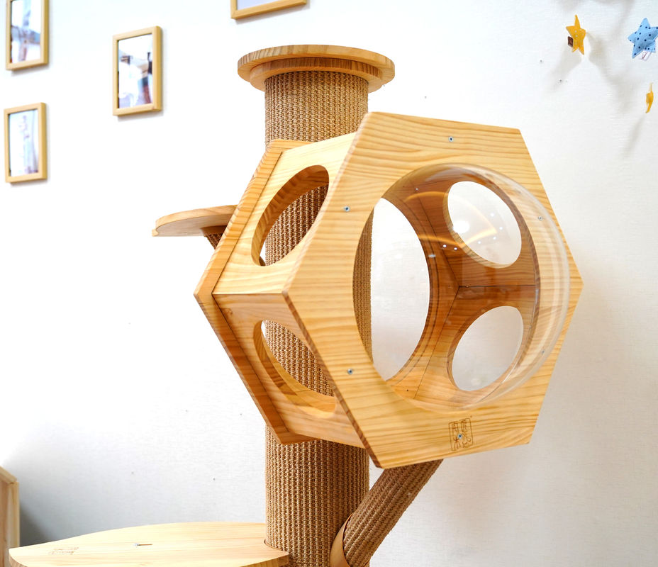 Luxushexagon-hölzerne Haustier-Bett-Höhlen-Cat Climbing Tower With Space-Kapsel