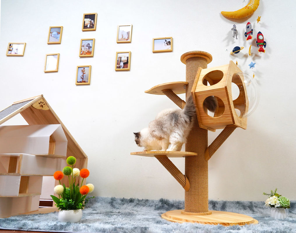 Luxushexagon-hölzerne Haustier-Bett-Höhlen-Cat Climbing Tower With Space-Kapsel