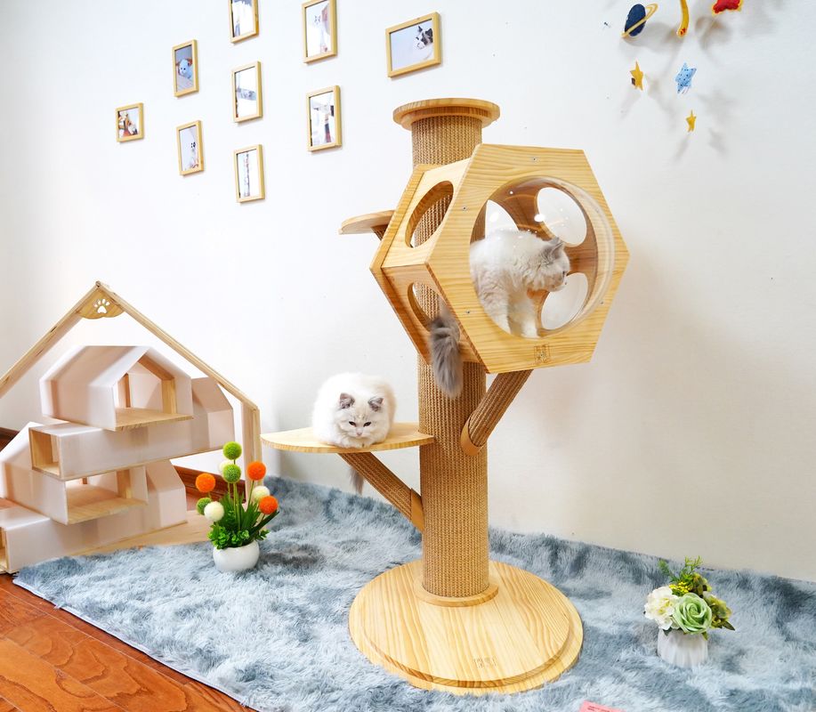 Luxushexagon-hölzerne Haustier-Bett-Höhlen-Cat Climbing Tower With Space-Kapsel