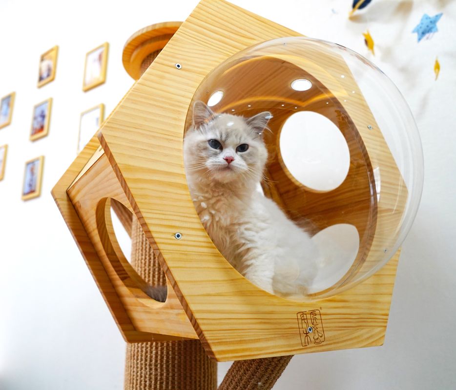 Luxushexagon-hölzerne Haustier-Bett-Höhlen-Cat Climbing Tower With Space-Kapsel