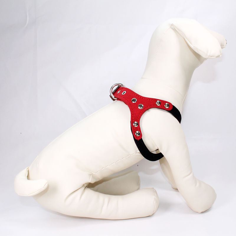 Gute Qualitäts-Schlag--herausbeweis-Hundegeschirr-bequemer Kasten und hintere Zerstreungs-Druck-Hundeleine