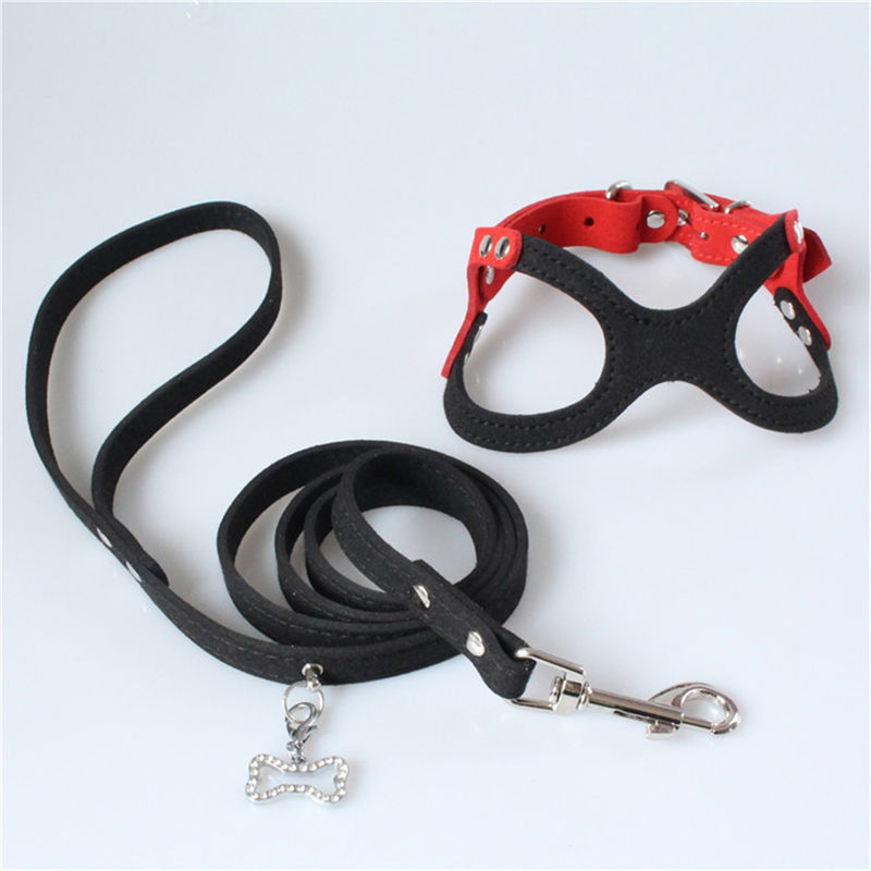 Hallupets weicher Mesh Padded Collar Leash Harness stellte Hundekasten und hintere Zugkraft ein