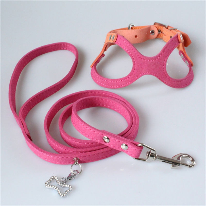 Hallupets weicher Mesh Padded Collar Leash Harness stellte Hundekasten und hintere Zugkraft ein