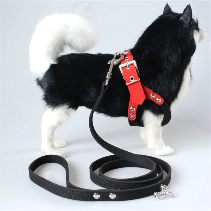 Hallupets weicher Mesh Padded Collar Leash Harness stellte Hundekasten und hintere Zugkraft ein