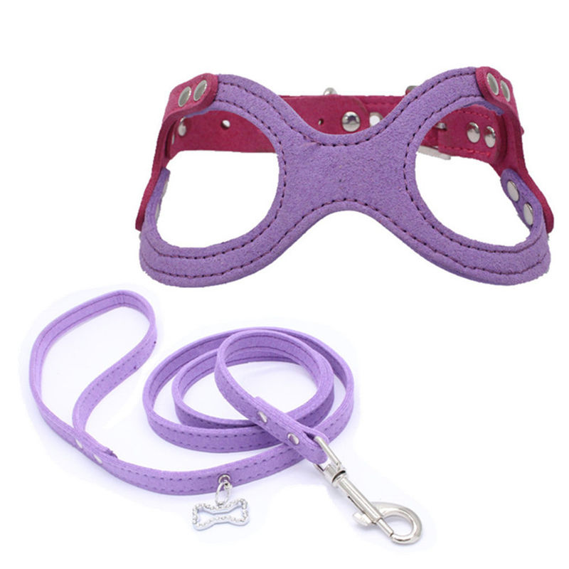Hallupets weicher Mesh Padded Collar Leash Harness stellte Hundekasten und hintere Zugkraft ein