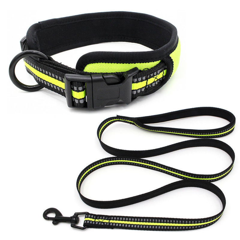 Das Neopren, das Hundehalsring-Leine zeichnet, stellte reflektierenden schnelle Freigabe-Schnallen-Kragen des gewebten Materials mit Zugseil-Satz-Hundeleine ein