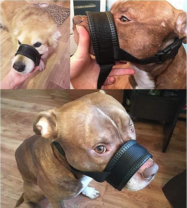 Nylonhundemündungs-Kragen-Leinen-Geschirr stellte weichen aufgefüllten Hundemund-Abdeckungs-Antibiss ein