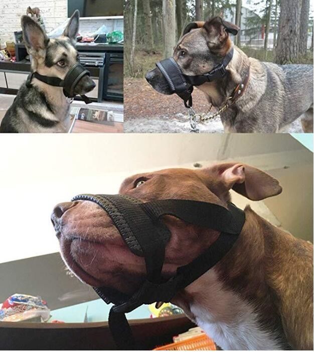 Nylonhundemündungs-Kragen-Leinen-Geschirr stellte weichen aufgefüllten Hundemund-Abdeckungs-Antibiss ein