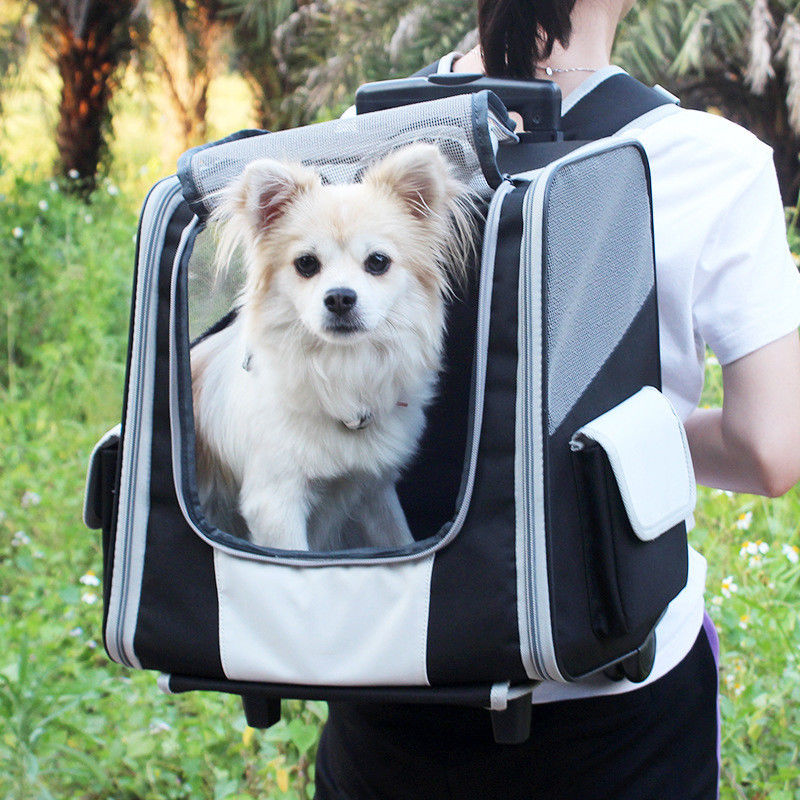 Teleskopstiel-Haustier-Reise-Fördermaschinen-Rucksack-Laufkatze für kleine Hunde und Katzen