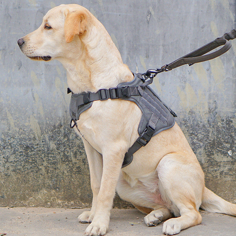 Taktisches Militärwesten-Hundegeschirr mit taktischer Sicherheit Schnalle ODM Molle für Service u. ausbildende Militärhundeweste