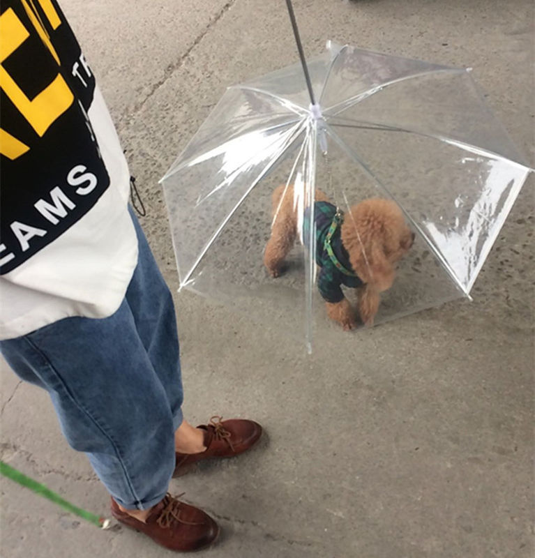 Kleine klare transparente Schoßhund-Regenschirme im Freien für die Hunde wasserdicht