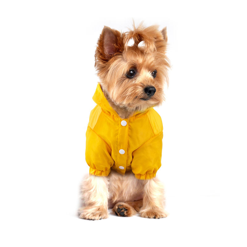 Reflektierender Haustier-Regenmantel-im Freien einzigartige leuchtende Regen-Jacken mit Speichertasche für Hunde