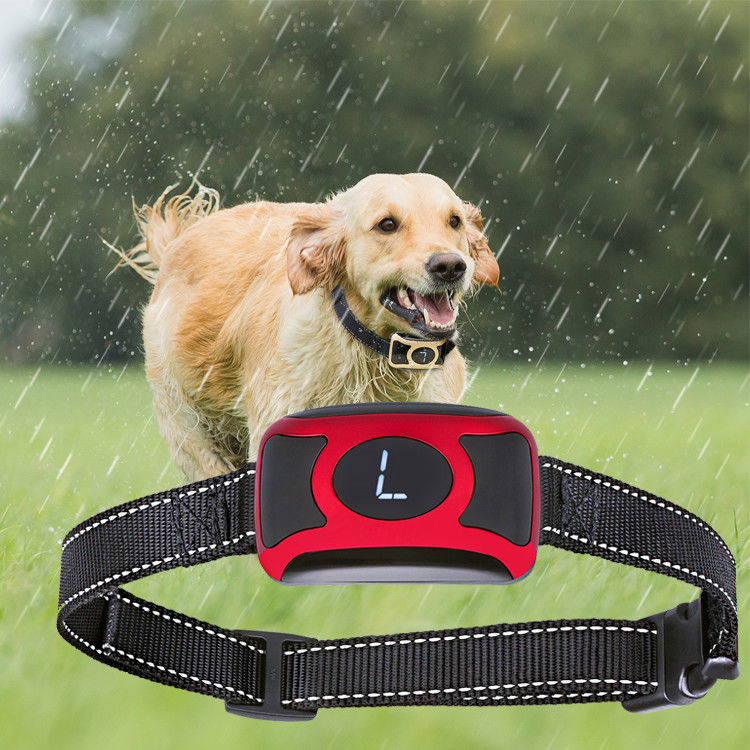 Innovative Steuerhaustier-Trainings-Produkte keine Barken-Hundetrainings-Schock-Krägen