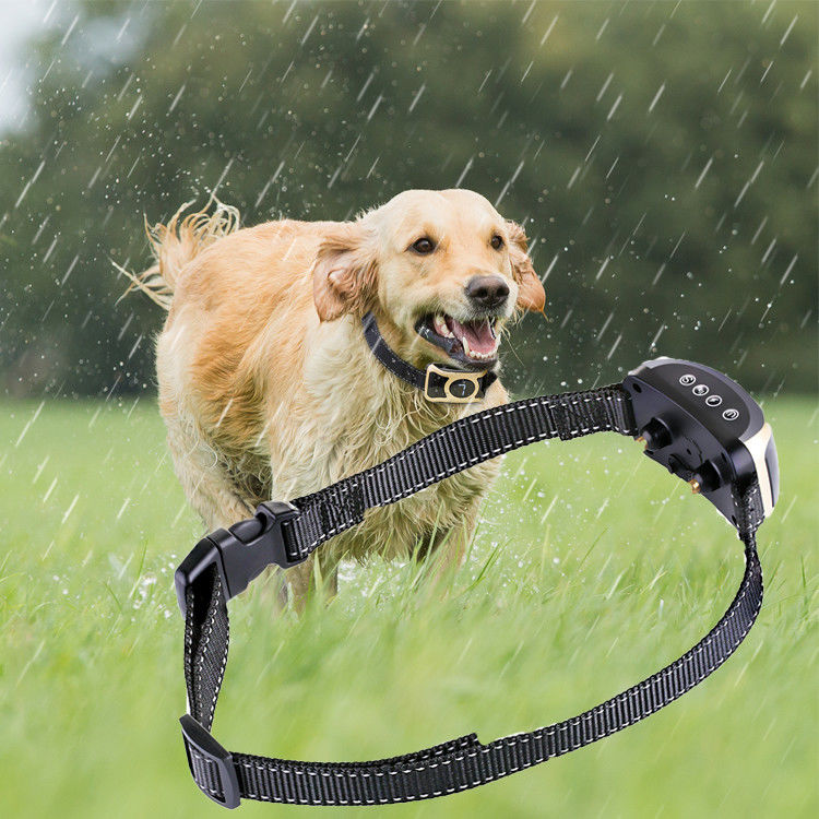 Innovative Steuerhaustier-Trainings-Produkte keine Barken-Hundetrainings-Schock-Krägen