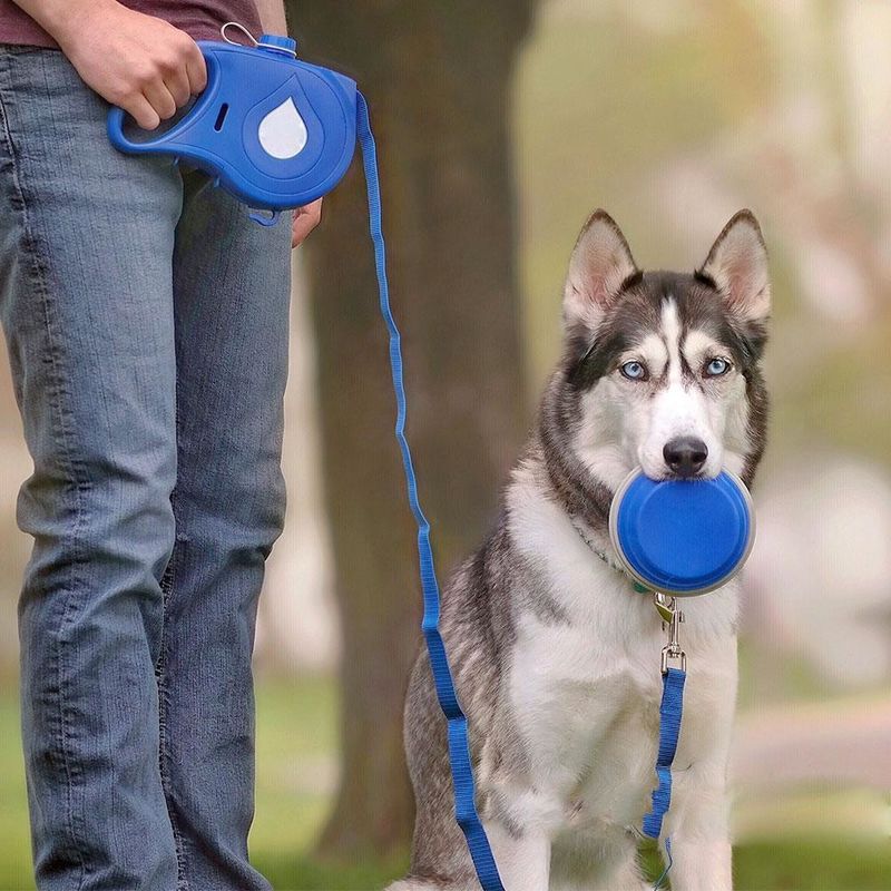 5 IN 1 Nylonhundeleinen-tragbarer Hundewasser-Flasche mit zusammenklappbarer Schüssel-Hundeheck-Taschen-Zufuhr