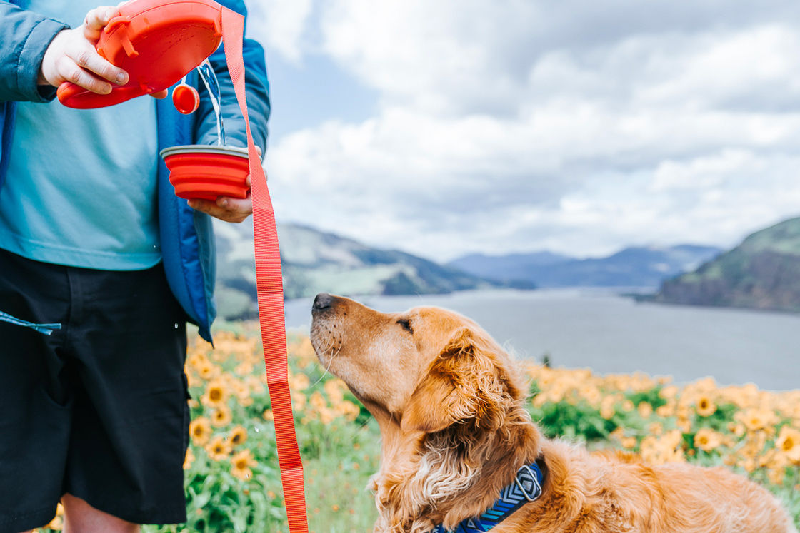 2021 BSCI-Leinen-Hundewasser-Trinkflasche 5 in 1 Hundeleine mit Wasser-Flasche