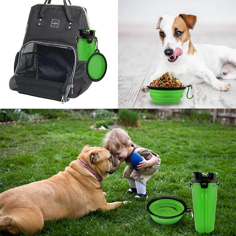 Grüner tragbarer Wasserspender-Hundewasser-Flasche im Freien für die Hunde, die das Wandern gehen