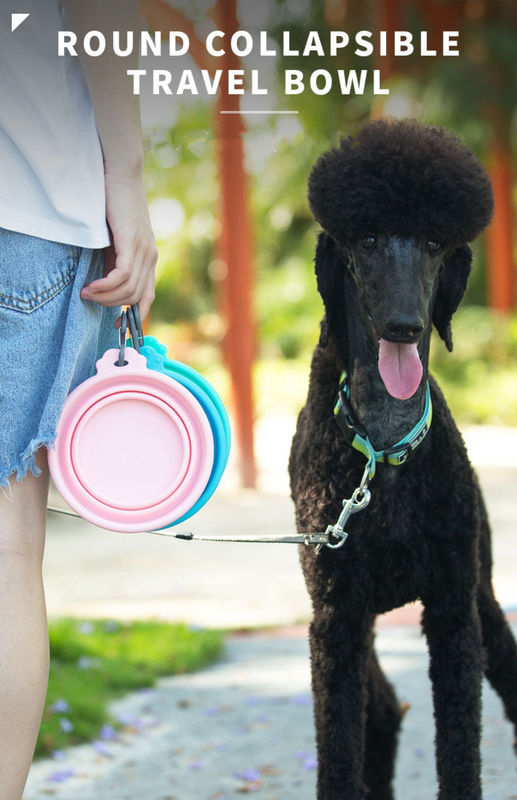Silikon-Reise-Wasser-Schüssel im Freien für Hunde-Cat Dog Food And Water-Schüssel