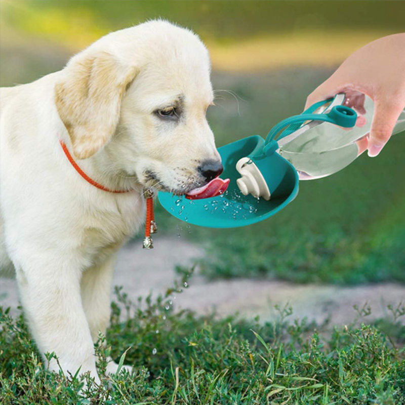 Silikon-tragbarer Haustier-Wasser-Flaschen-Leck-Beweis-Entwurf im Freien 580ML