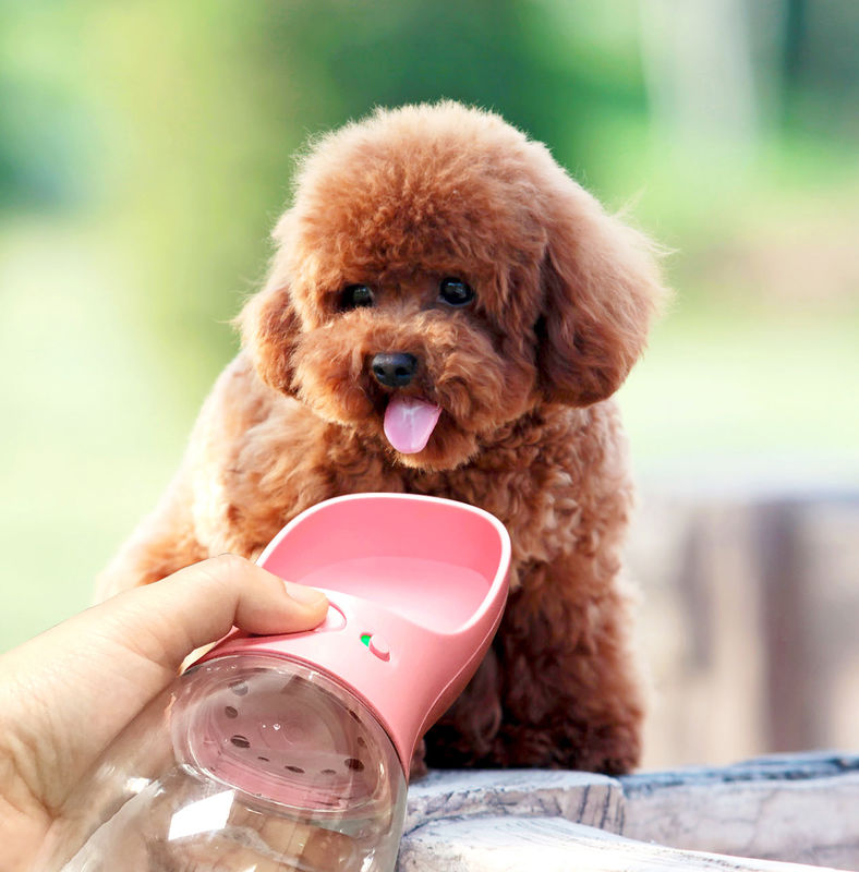 Schalen-tragbare faltbare Hundewasser-Flasche des Getränk-12-20OZ für das Gehen