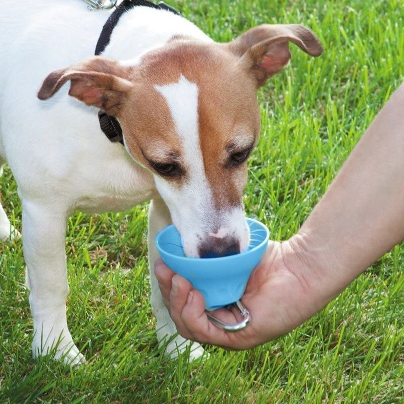 Abnehmbare Silikon-Hundewasser-Flasche und Schüssel im Freien 400 ml-Haustier-Trinkflasche