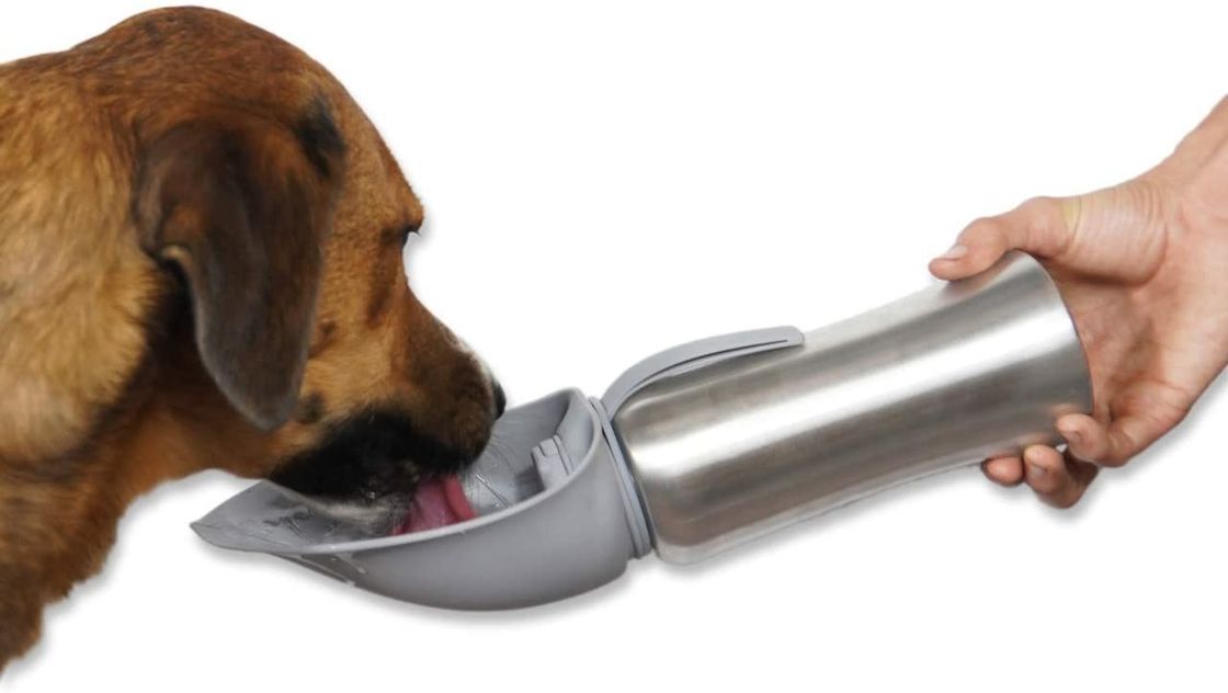 Rostfreie Reise-Haustier-Hundewärmflasche mit Silikon Flip Up Bowl 42oz/1200mL