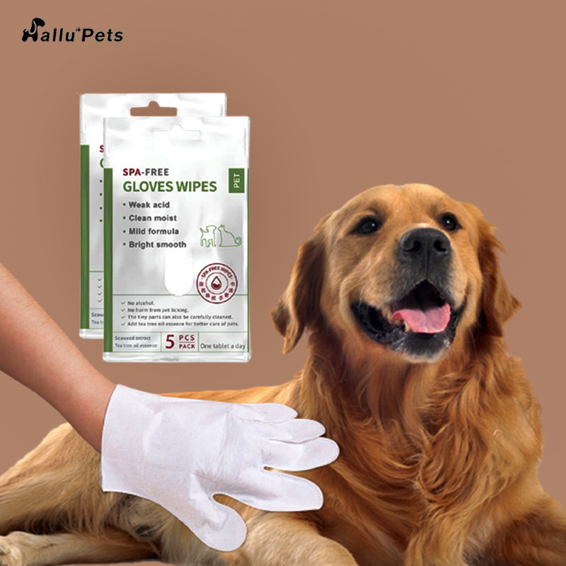 5 PCS Wegwerfnein Rinse Pet Cleaning Gloves für Gesichts-Körper-Ohr-Tatzen und Kolben
